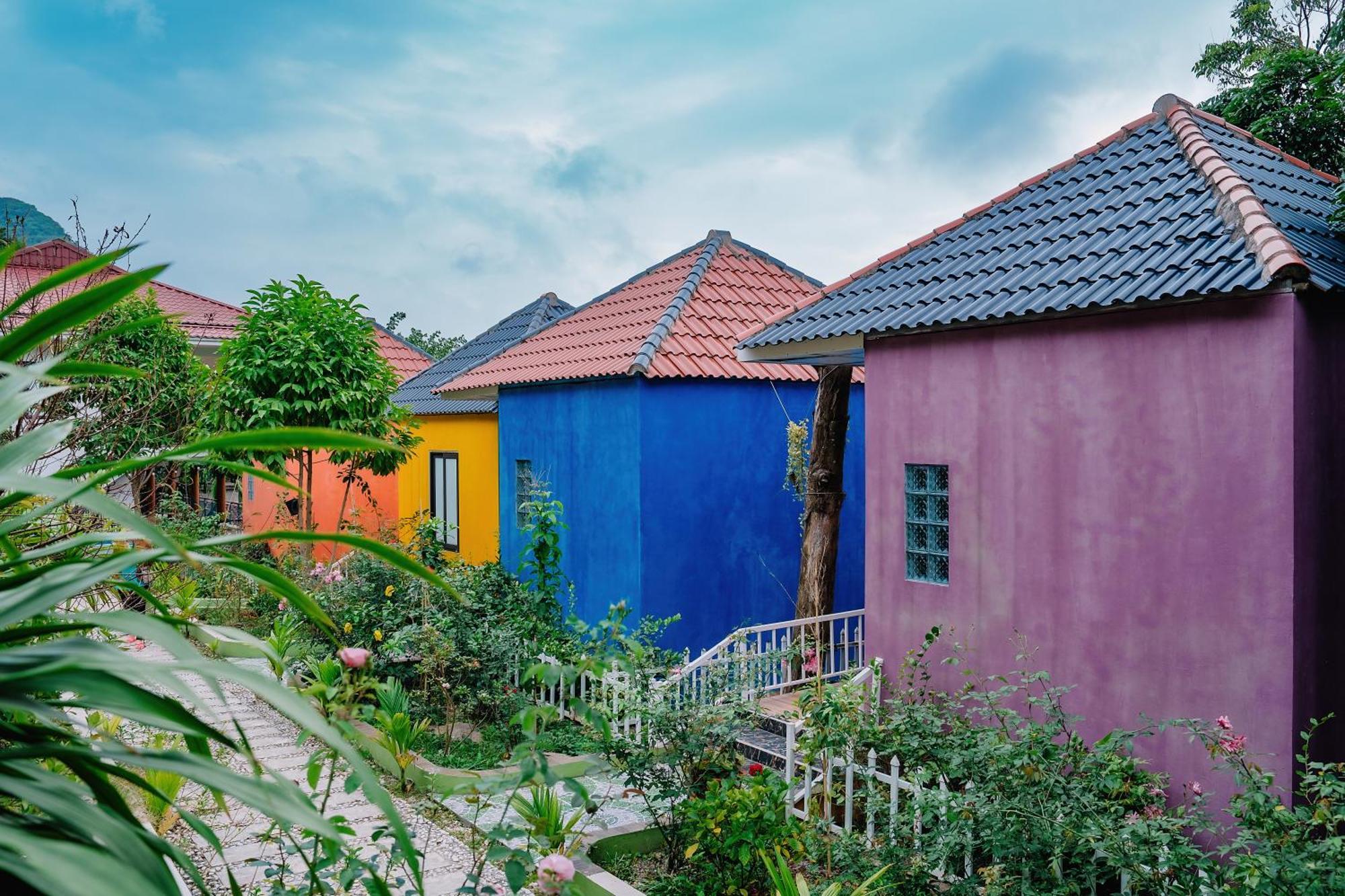 Windy Homestay Cat Ba Island Buitenkant foto