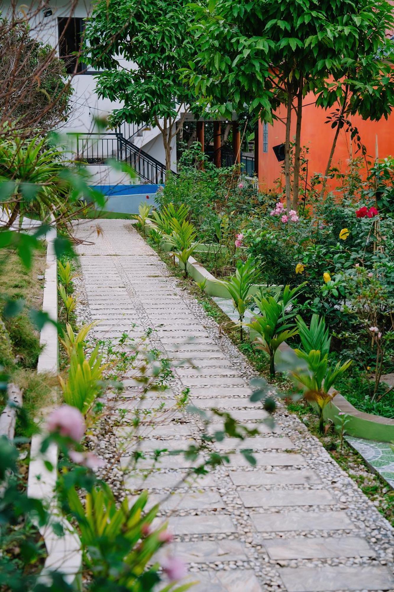 Windy Homestay Cat Ba Island Buitenkant foto